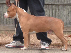 cyruss121705.jpg