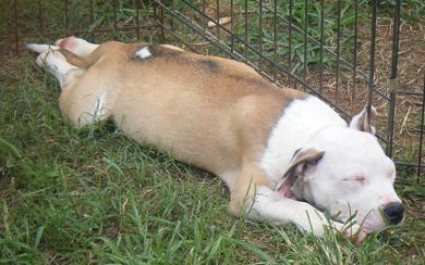 090608brchunk.jpg
