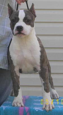 babyannie1.jpg